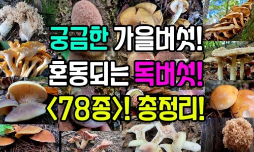 去腐生肌的外用药水有叫什么林的吗-去腐生肌的外用药水网 - 去腐生肌的外用药水有哪些,去腐生肌外用草药配方